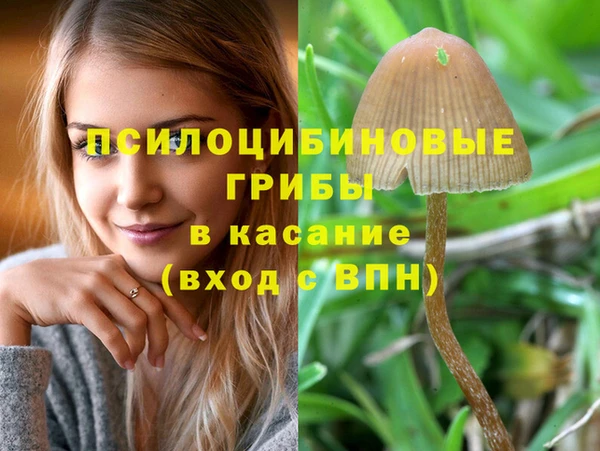 метадон Анива