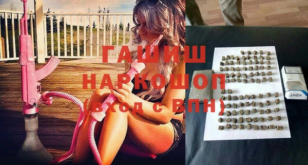 молекула духа Няндома