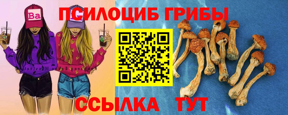 Псилоцибиновые грибы Psilocybine cubensis Красноуфимск