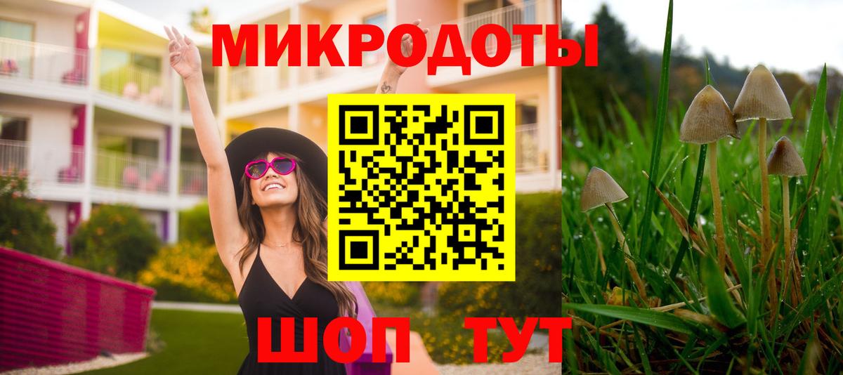 Галлюциногенные грибы Psilocybe  Вход с VPN  Красноуфимск 